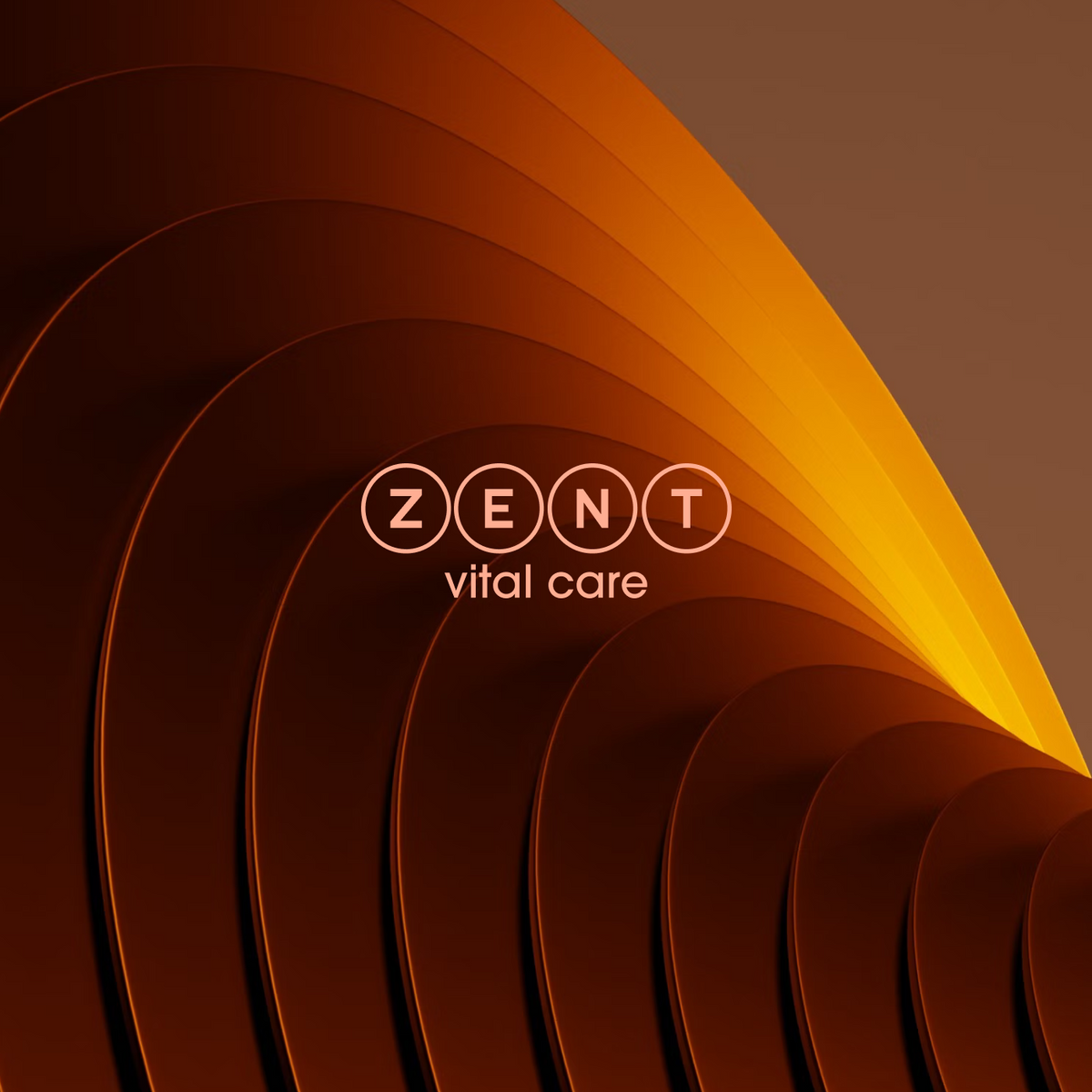 ZENT® – Technologies Innovantes pour la Santé, le Confort et la Beauté ...